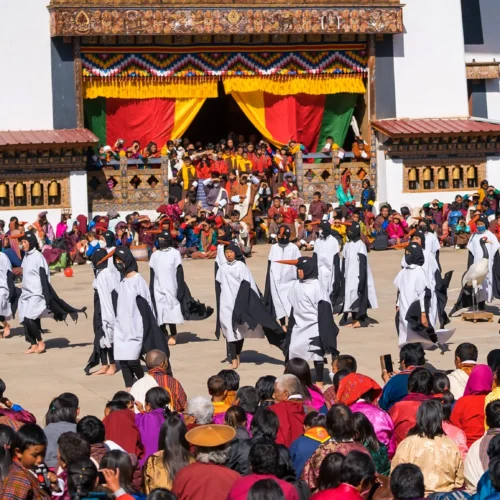 Black-Necked Crane Festival