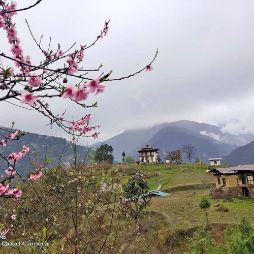 The Wild East – Fringes of Bhutan